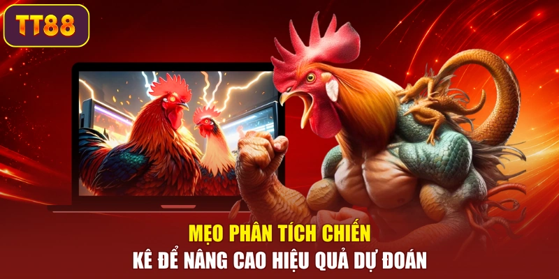 Mẹo phân tích chiến kê để nâng cao hiệu quả dự đoán